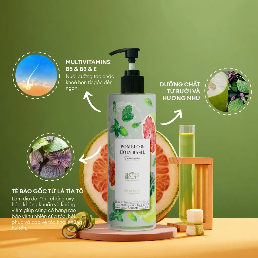 Ảnh Dầu Gội Phyto Biotics Bưởi và Hương Nhu giúp giảm gãy rụng tóc - NPC PHAR 1