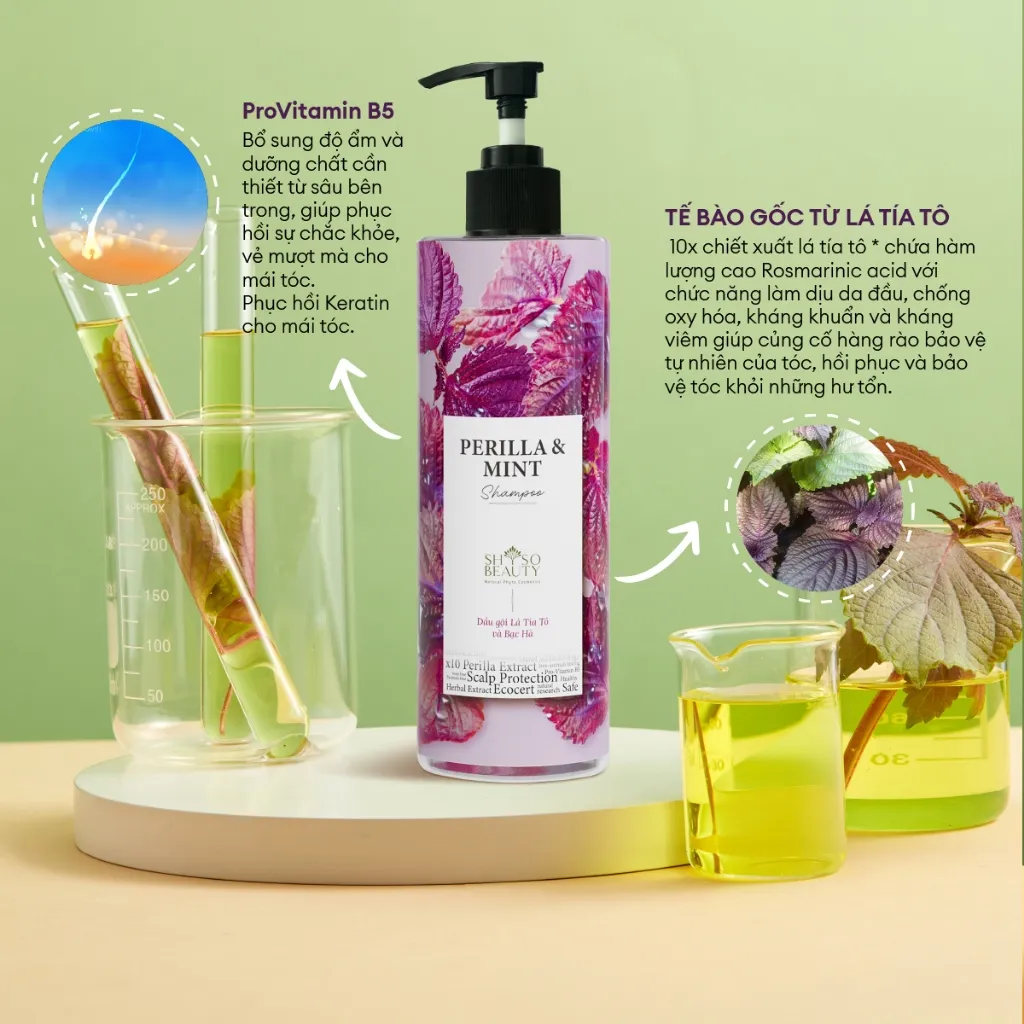 Ảnh Dầu Gội SHSO Beauty Phyto Biotic Tía Tô & Bạc Hà Chăm Sóc Tóc Bồng Bềnh, Chắc Khỏe, Kích Thích Mọc Tóc - NPC PHAR 1