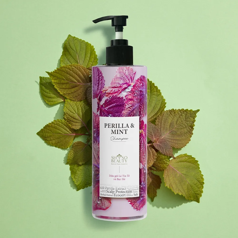 Ảnh Dầu Gội SHSO Beauty Phyto Biotic Tía Tô & Bạc Hà Chăm Sóc Tóc Bồng Bềnh, Chắc Khỏe, Kích Thích Mọc Tóc - NPC PHAR 2