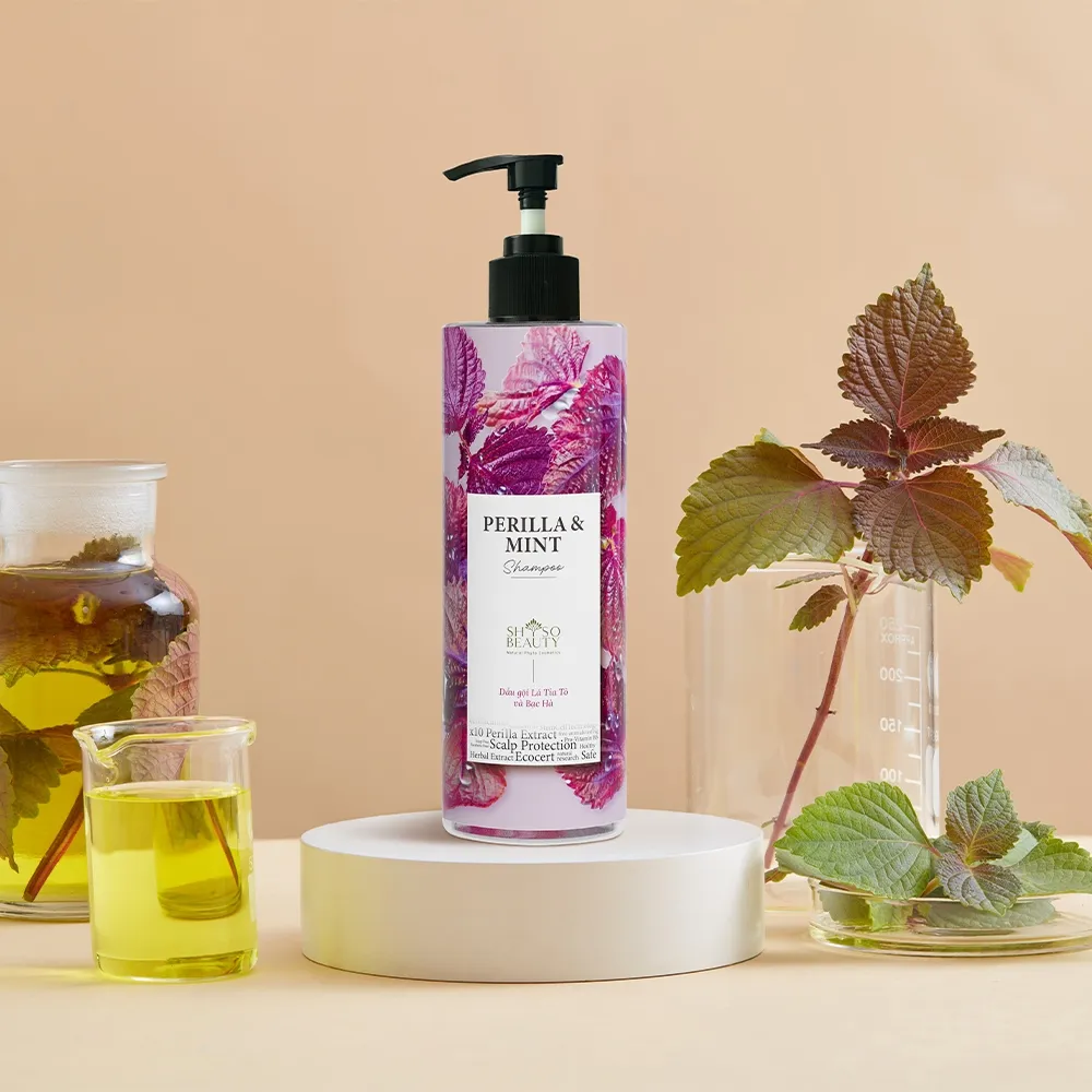 Ảnh Dầu Gội SHSO Beauty Phyto Biotic Tía Tô & Bạc Hà Chăm Sóc Tóc Bồng Bềnh, Chắc Khỏe, Kích Thích Mọc Tóc - NPC PHAR 3