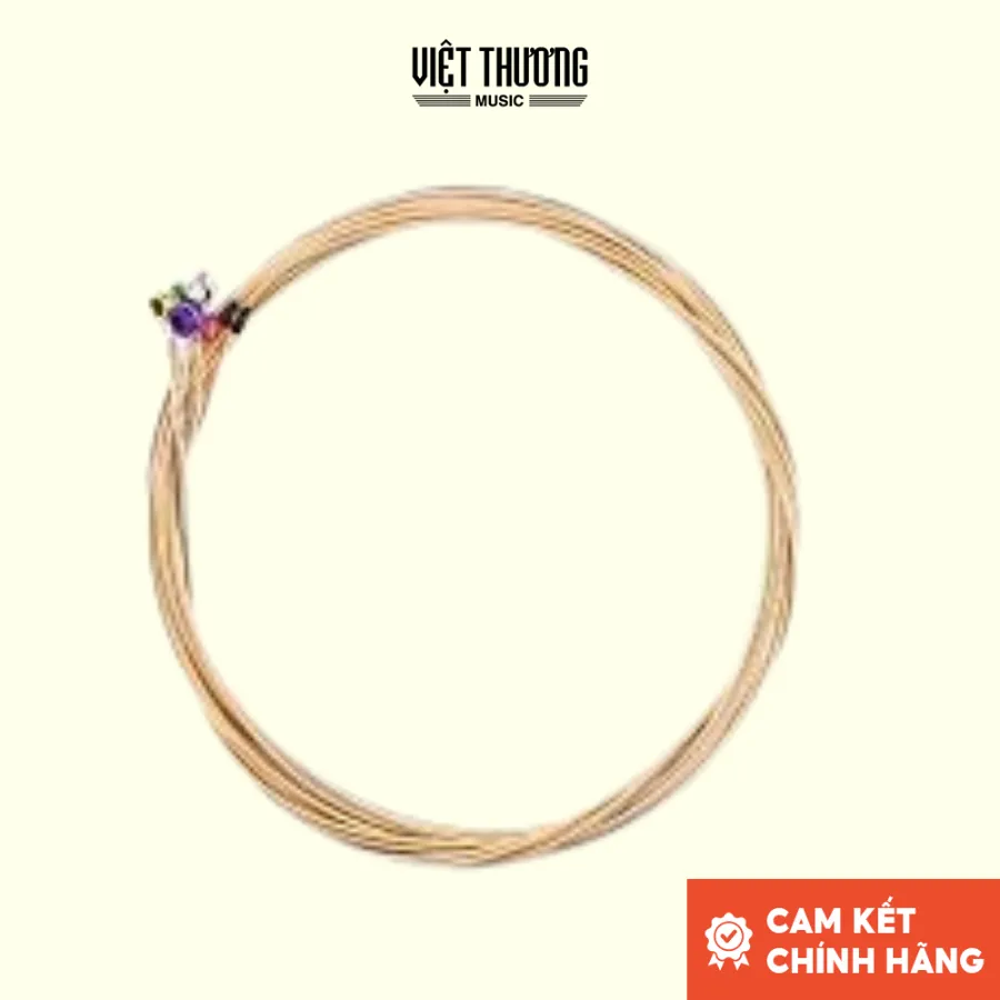 Ảnh Dây đàn guitar acoustic D'ADDARIO PHOSPHOR BRONZE ACOUSTIC 12-53 EJ16 dây đàn hợp kim cao cấp Việt Thương Music 1