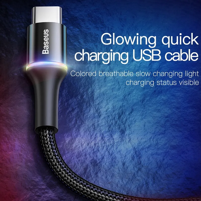 Ảnh Dây cáp BASEUS cổng USB type-C sạc nhanh có thể đảo ngược 4