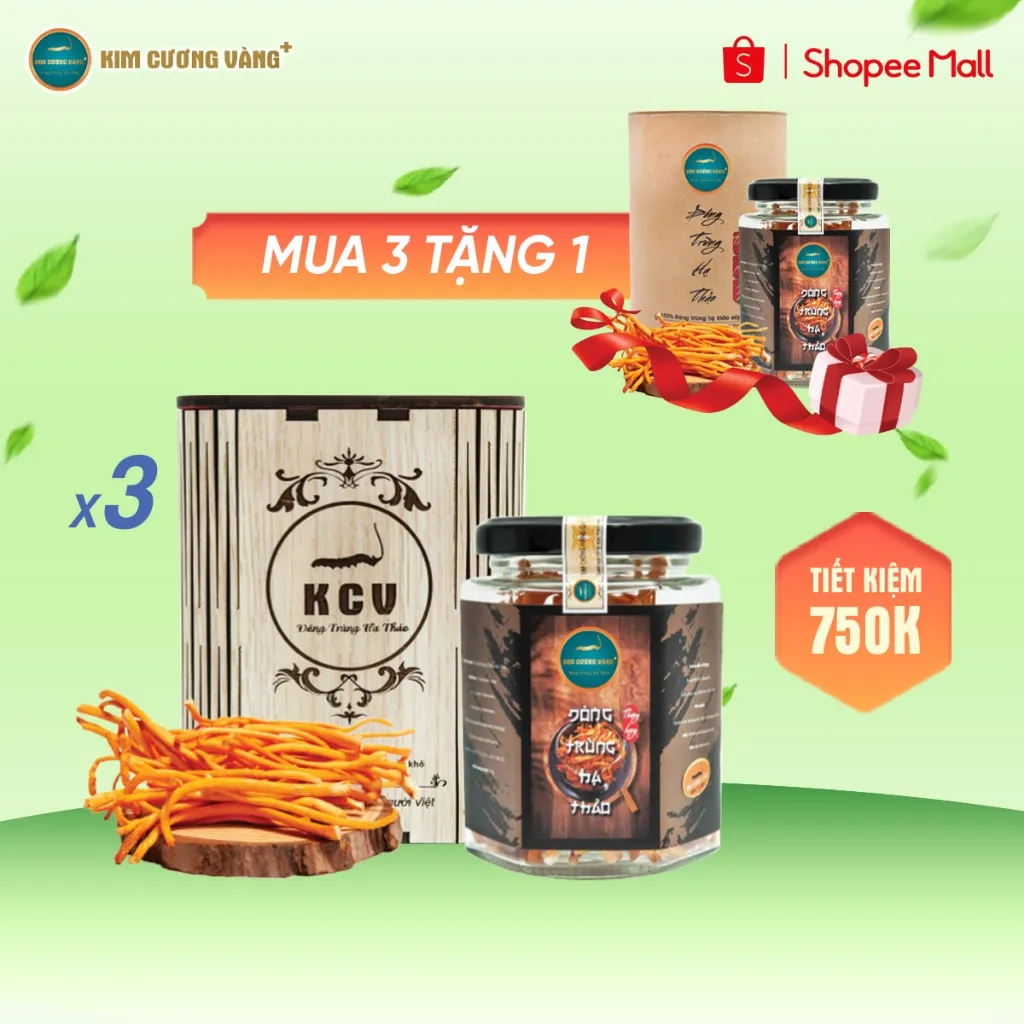 Ảnh Đông Trùng Hạ Thảo Khô Tăng Đề Kháng Kim Cương Vàng Giảm Mệt Mõi Ngủ Ngon Chính Hãng Hộp 10 Gramm 3