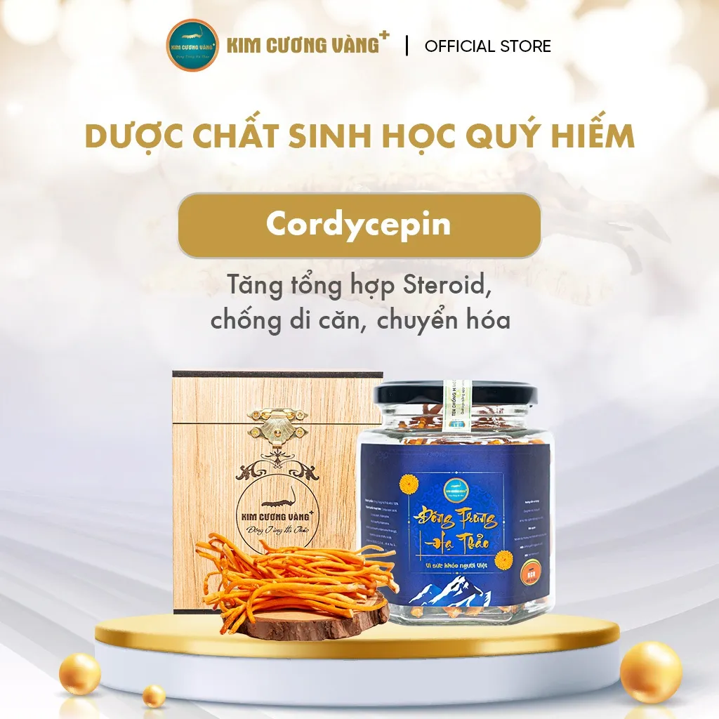 Ảnh Đông Trùng Hạ Thảo Khô Thượng Phẩm Kim Cương Vàng - Hỗ Trợ Giải Độc Gan, Tăng Cường Đề Kháng, Giảm Mệt Mỏi (15Gr/Hộp) 3