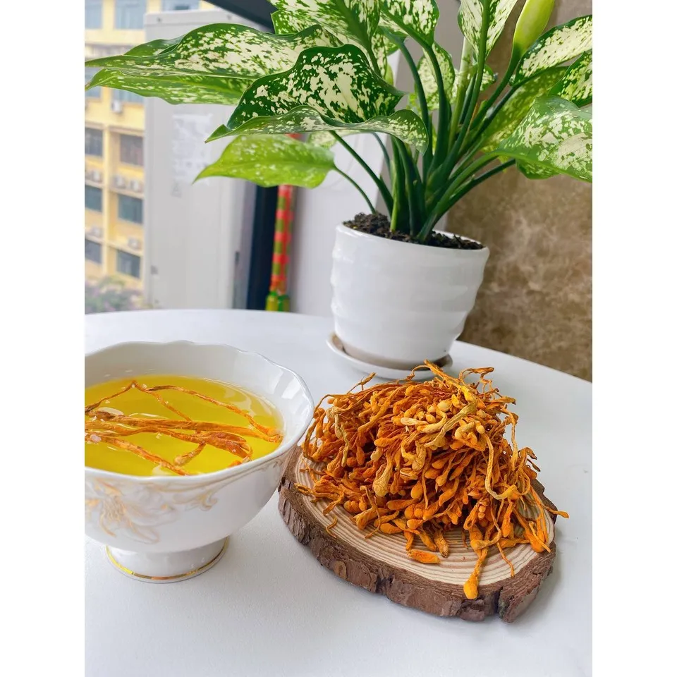 Ảnh Đông trùng hạ thảo thương hiệu Mộc Hương Sơn loại sấy khô 50gr sợi to ngon 3