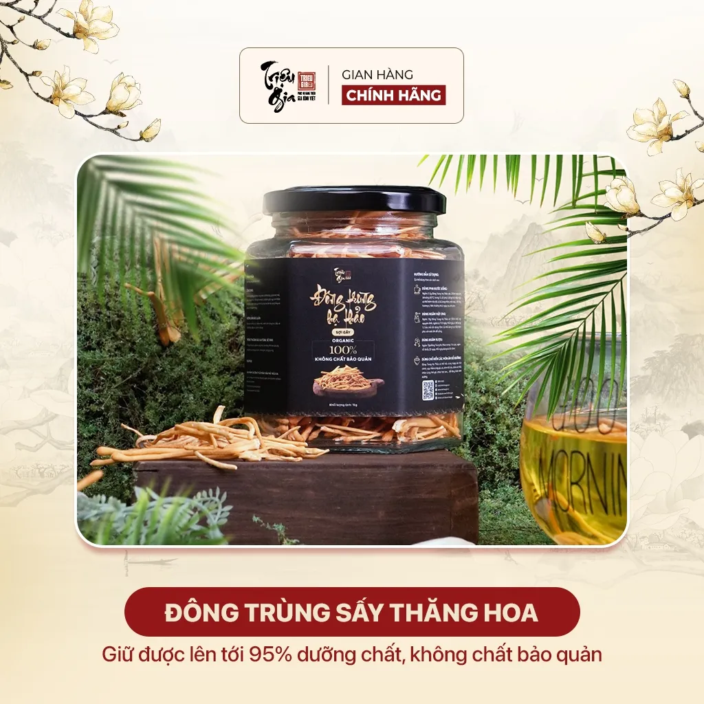 Ảnh Đông trùng hạ thảo tự nhiên sấy thăng hoa Triệu Gia tăng cường sức khỏe cải thiện lão hóa sợi gãy 3