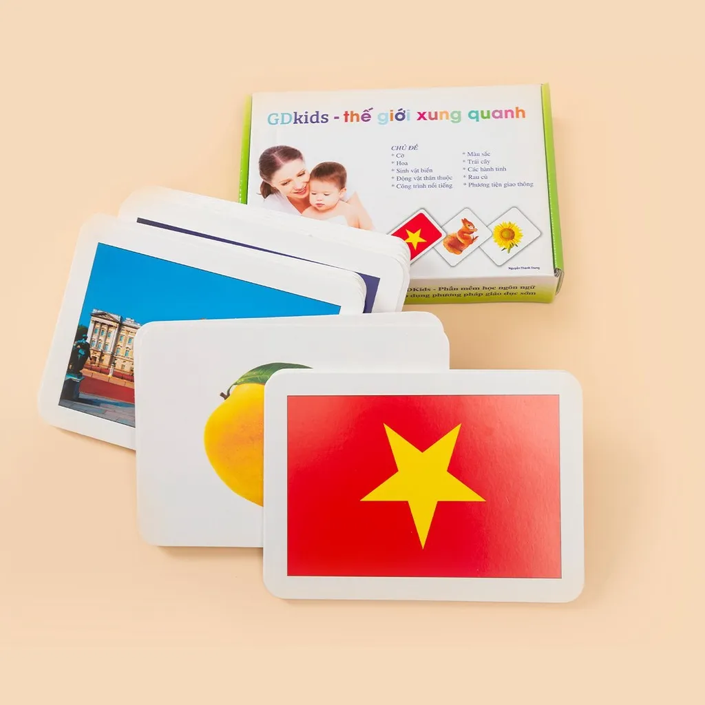 Ảnh Flashcard Cho Bé - Bộ Thẻ Dạy Trẻ Thế Giới Xung Quanh Theo Phương Pháp Glenn Doman (100 Thẻ) 4
