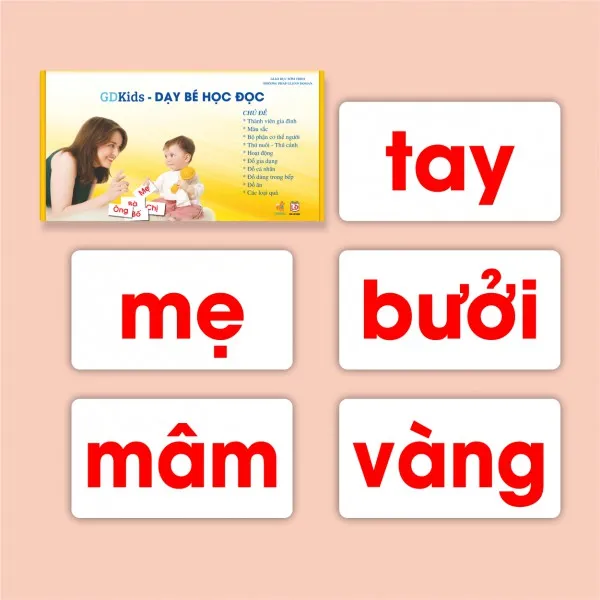 Ảnh Flashcard - Combo kết hợp bộ thẻ Theo Phương Pháp Glenn Doman (Hộp 459 thẻ) 3