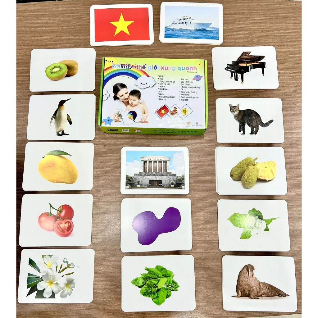 Ảnh Flashcard Dạy Trẻ Thế Giới Xung Quanh Chuẩn Glenn Doman - Bộ 300 Thẻ Học Thông Minh Cho Bé 2