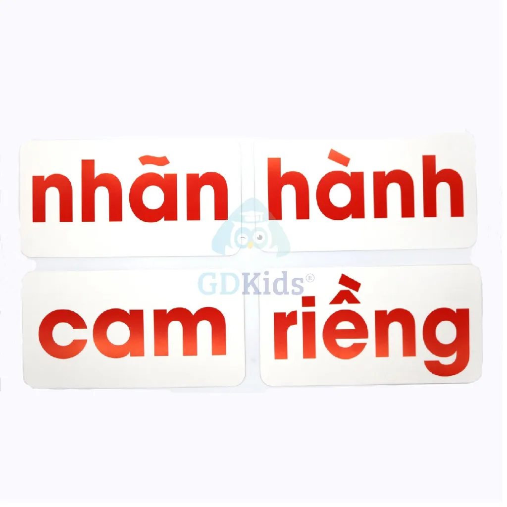 Ảnh Flashcard Glenn Doman - Bộ 100 Thẻ Học Đọc Thông Minh Phát Triển Ngôn Ngữ Cho Trẻ Từ 0-6 Tuổi 4