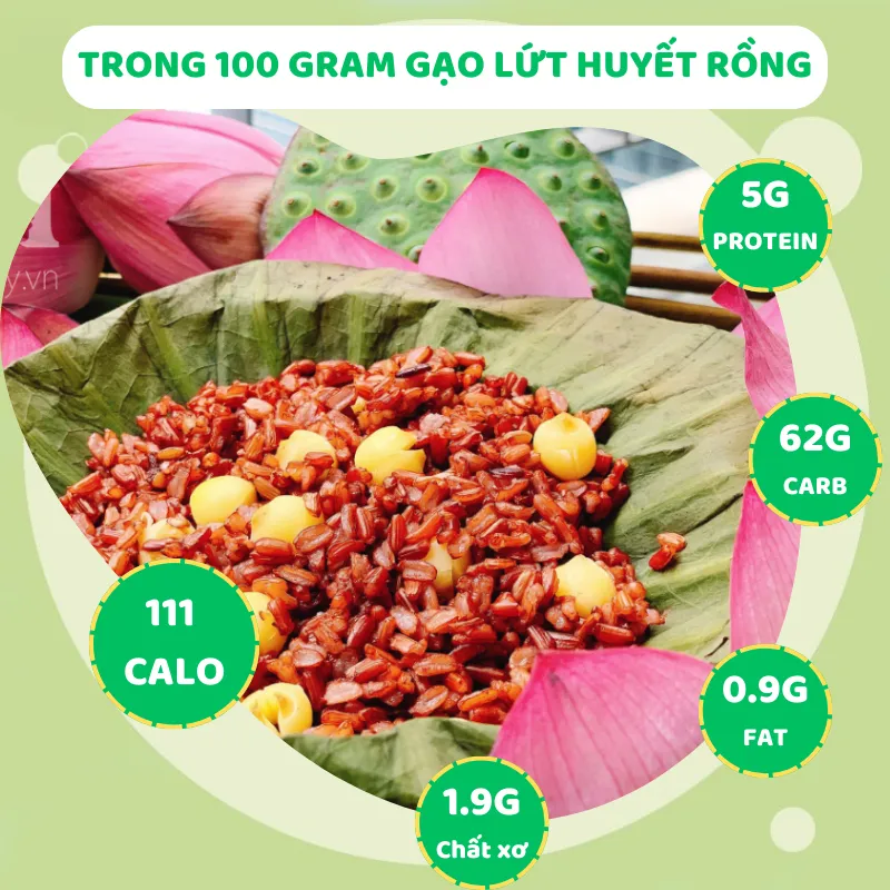 Ảnh Gạo lứt huyết rồng đỏ hữu cơ ONFOD ăn kiêng giảm cân cho người tiểu đường ăn chay eat clean 500g 1kg 4