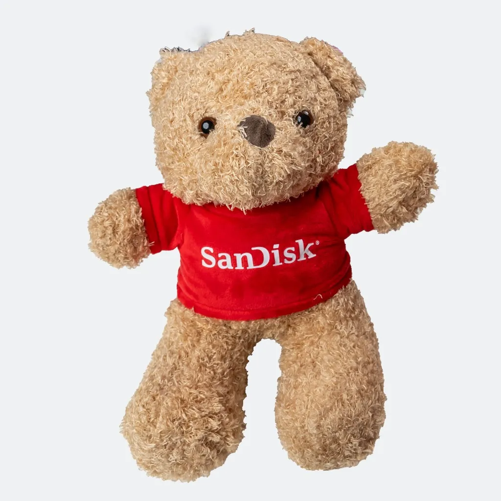 Ảnh Gấu bông SanDisk 1
