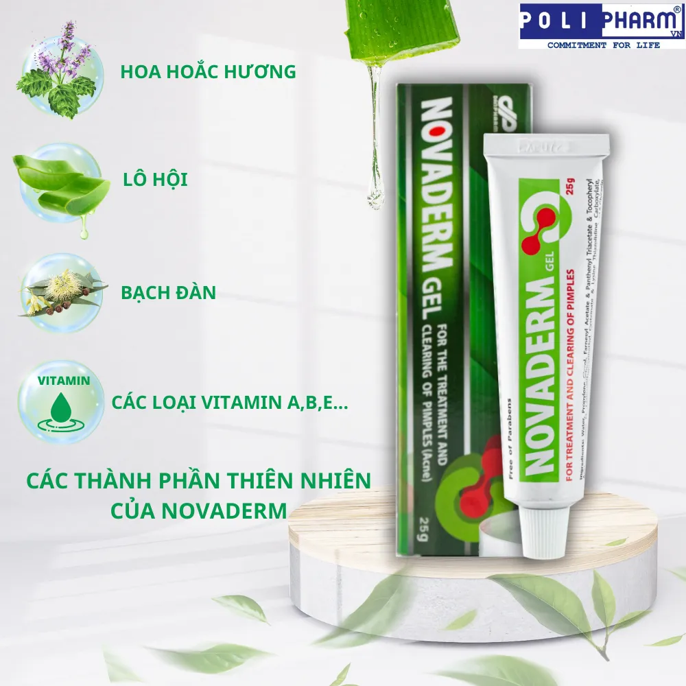 Ảnh Gel bôi mụn trứng cá mụn đầu đen, giảm thâm kiểm soát nhờn Novaderm nhập khẩu Danpharm 25g Polipharm 3