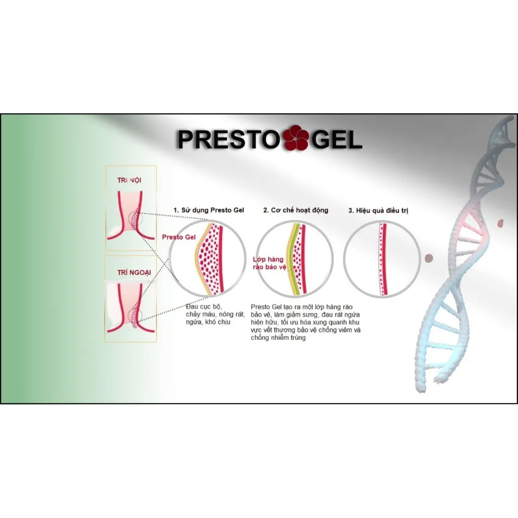 Ảnh Gel Bôi trĩ Presto nhập khẩu Danpharm- Israel, tuýp 25g 4