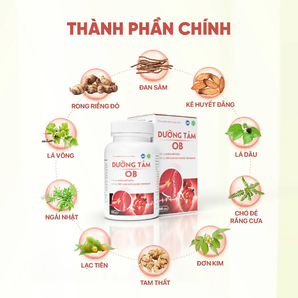 Ảnh Giảm mỡ máu, ngừa tai biến Dưỡng tâm Ob, Tốt Cho Tim Mạch, Huyết Áp( Hộp 60 viên) 1