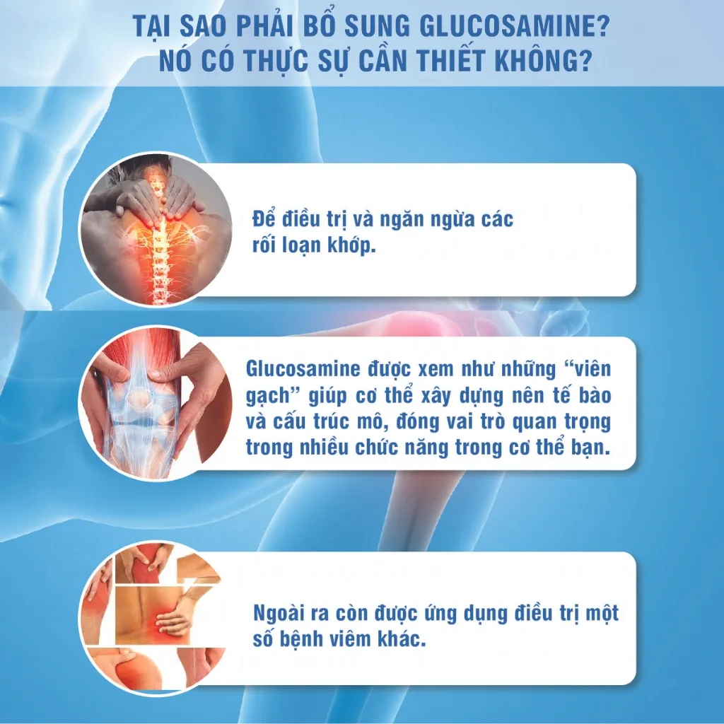 Ảnh Glucosamine HCL và MSM Kirkland Signature hỗ trợ xương khớp 375v và glucosamine 1500mg blackmores 4