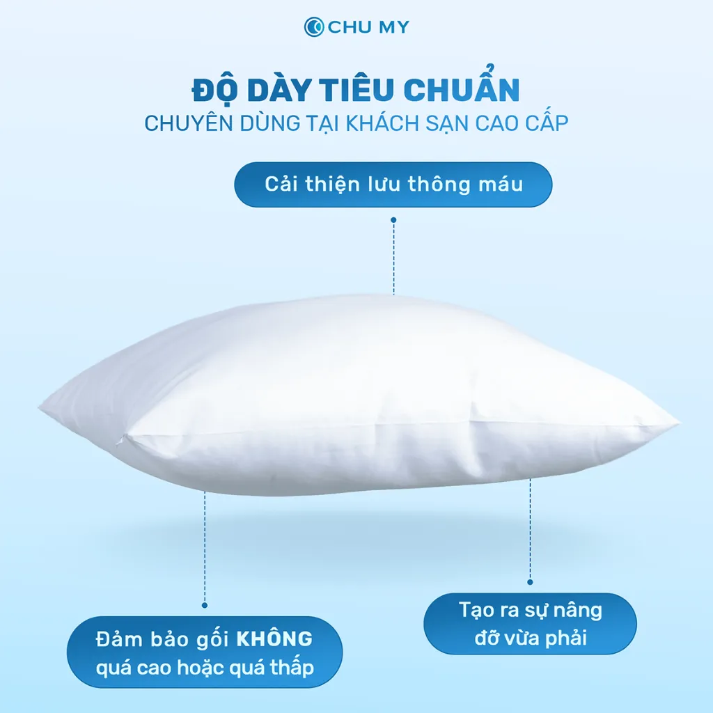Ảnh Gối khách sạn bông 3D CHU MY, nâng đỡ vai gáy, dành cho khách sạn 2-3 sao 1