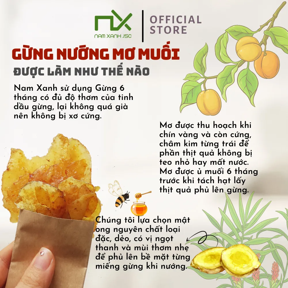 Ảnh Gừng Nướng Mơ Muối Nam Xanh Hộp 80g(100g) 3