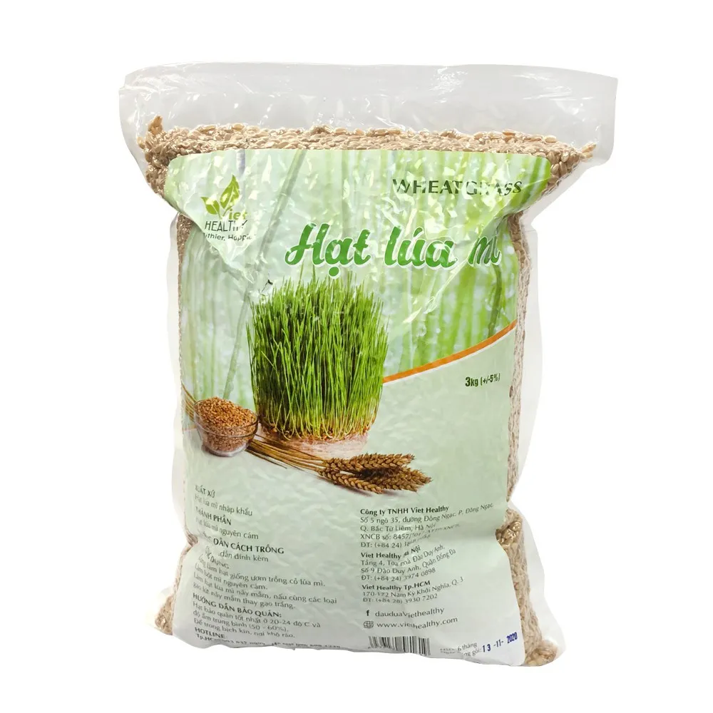 Ảnh Hạt giống cỏ lúa mì Viet Healthy 1kg 3
