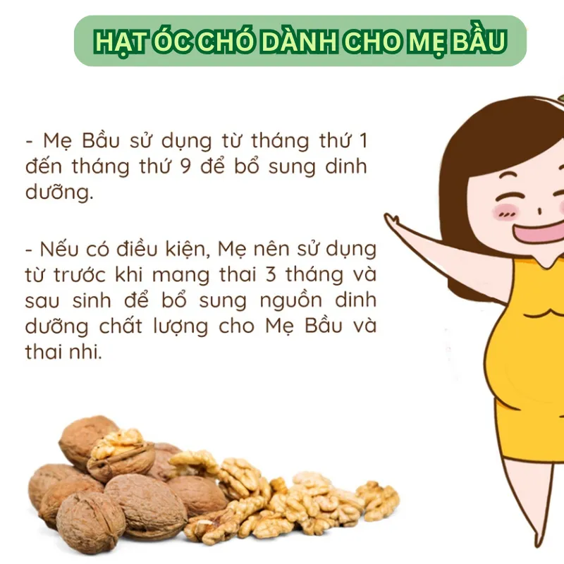 Ảnh Hạt óc chó tách vỏ hữu cơ ONFOD hạt dinh dưỡng nấu sữa hạt làm ngũ cốc cho mẹ bầu, ăn kiêng, giảm cân 3