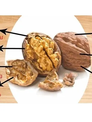 Ảnh Hạt óc chó vàng nguyên vỏ Mộc Lan nhập khẩu Mỹ, chất lượng cao tốt cho sức khoẻ- 250g, 500g 3