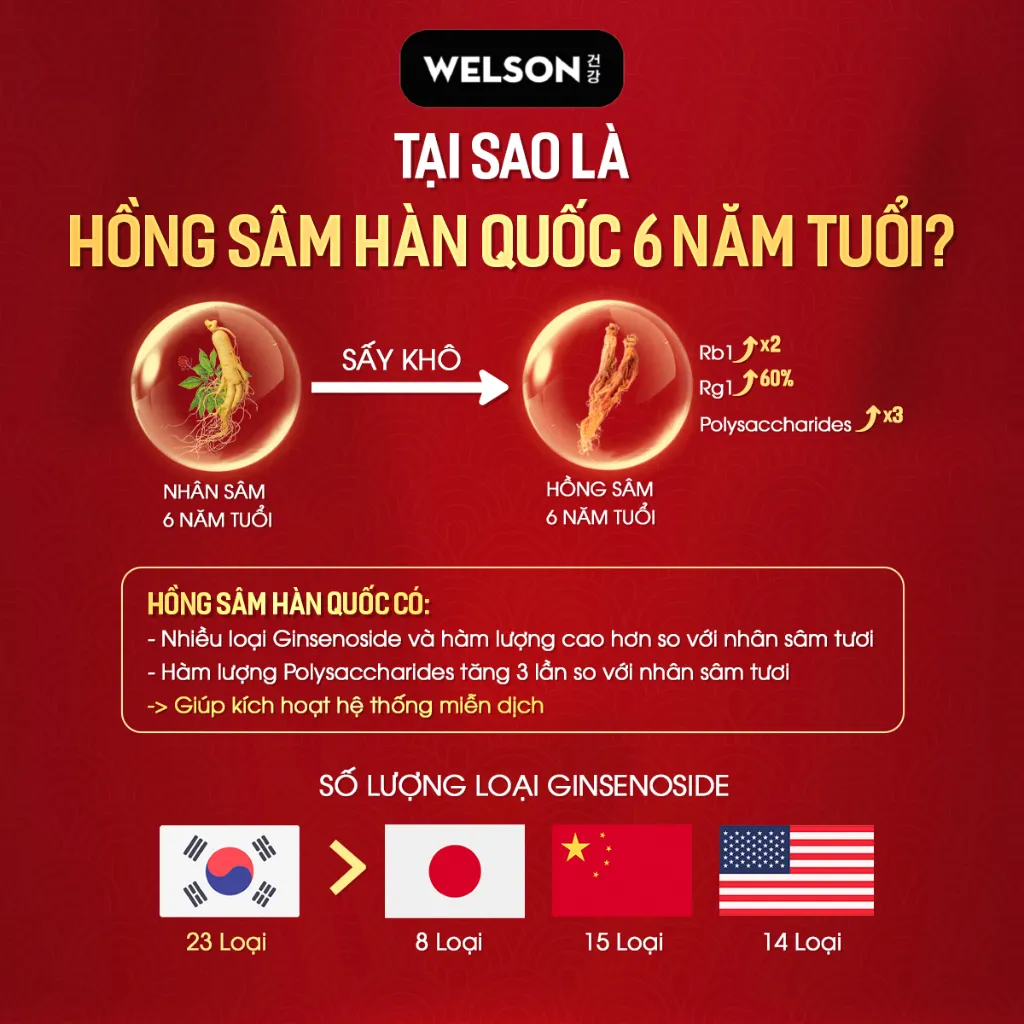 Ảnh Hồng Sâm Hàn Quốc Đông Trùng Hạ Thảo Tăng Cường Sức Khỏe Welson Red Ginseng 30 Viên 3