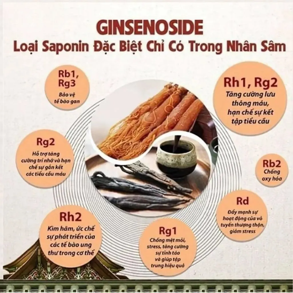 Ảnh Hồng Sâm Hữu Cơ Cải Thiện Sức Khỏe KJH Dạng Stick - Sâm Hàn Quốc  Dành Cho Người Trưởng Thành 4