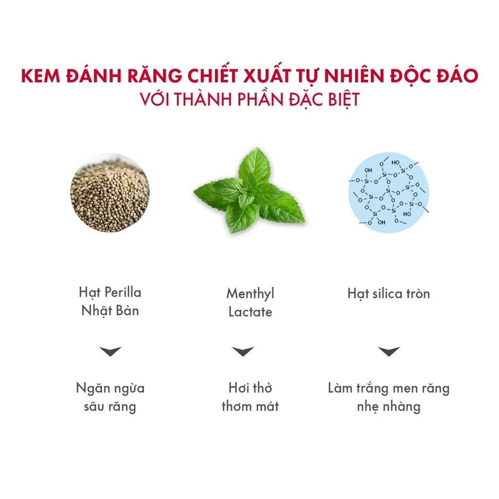 Ảnh Kem Đánh Răng Cho Hơi Thở Thơm Mát SPLAT Love Special series Vị Quả Mâm Xôi, Làm Sạch Mảng Bám 75ml 3