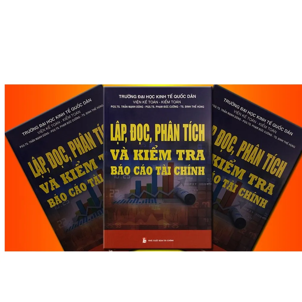 Ảnh Lập, Đọc, Phân Tích Và Kiểm Tra Báo Cáo Tài Chính 1