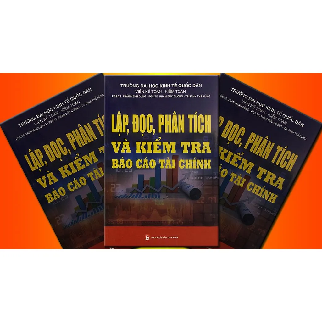 Ảnh Lập, Đọc, Phân Tích Và Kiểm Tra Báo Cáo Tài Chính 3