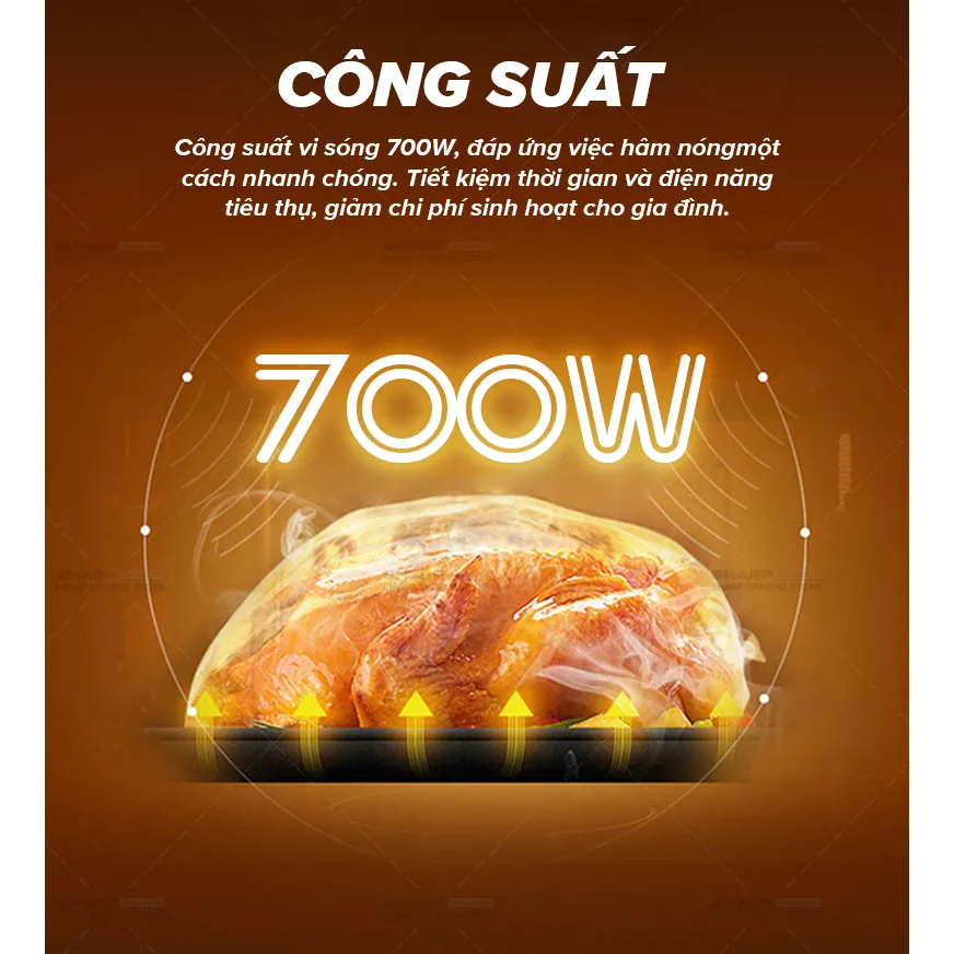 Ảnh Lò Vi Sóng Cơ R-207VN-SL/R-209VN-SK  [700W, 6 Mức Công Suất, Hẹn giờ 30p] - Hàng Chính Hãng Bảo Hành 12 tháng 3