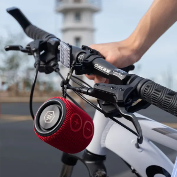 Ảnh Loa bluetooth di động Alpha Works Ride - Hàng Chính Hãng 3
