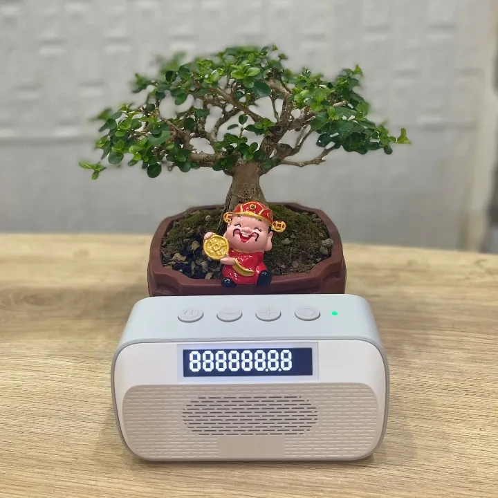 Ảnh Loa ngân hàng Nam Á - Loa thông báo chuyển khoản - Loa thần tài MobiFone - Hàng chính hãng 2
