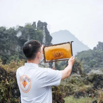 Ảnh Mật ong chín Honimore Hoa Miền Núi 630g - tặng hũ 360g 4