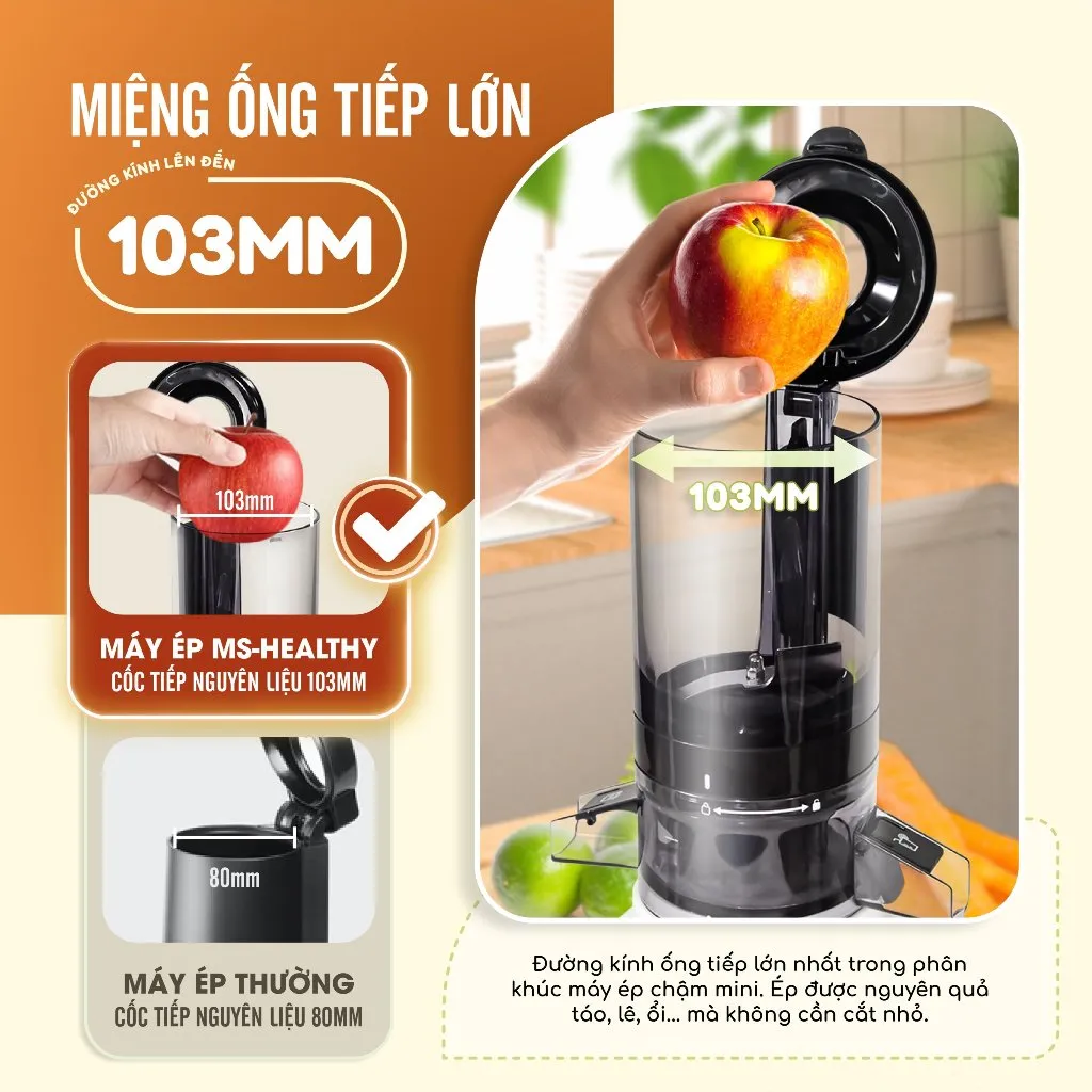 Ảnh Máy Ép Chậm Masuto Ms Healthy Làm Kem Ép Trái Cây Nguyên Quả Kiệt Bã Dung Tích 0,6L Làm Nước Ép, bảo hành 12 tháng 4
