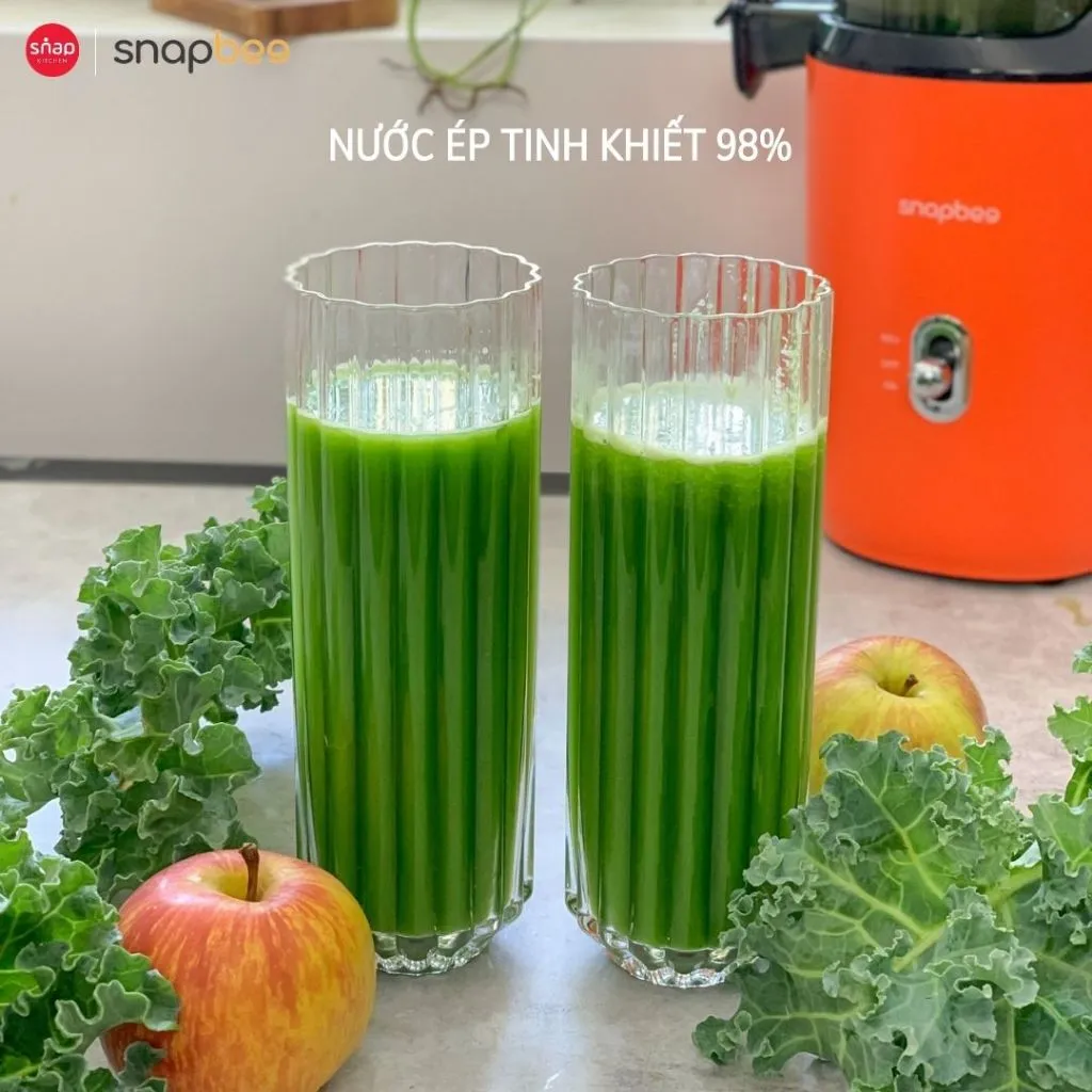 Ảnh Máy Ép Chậm Nguyên Quả SNAPBEE S300 Elite_Ép Siêu Kiệt Bã 98%_Tháo Lắp Đơn Giản [Snap Kitchen] 4