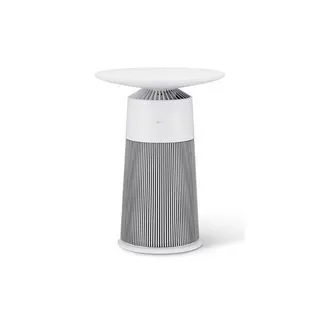 Ảnh Máy lọc không khí LG PuriCare AeroFurniture, lọc bụi mịn PM0.01, kháng khuẩn 99.9% - AS20GP 1