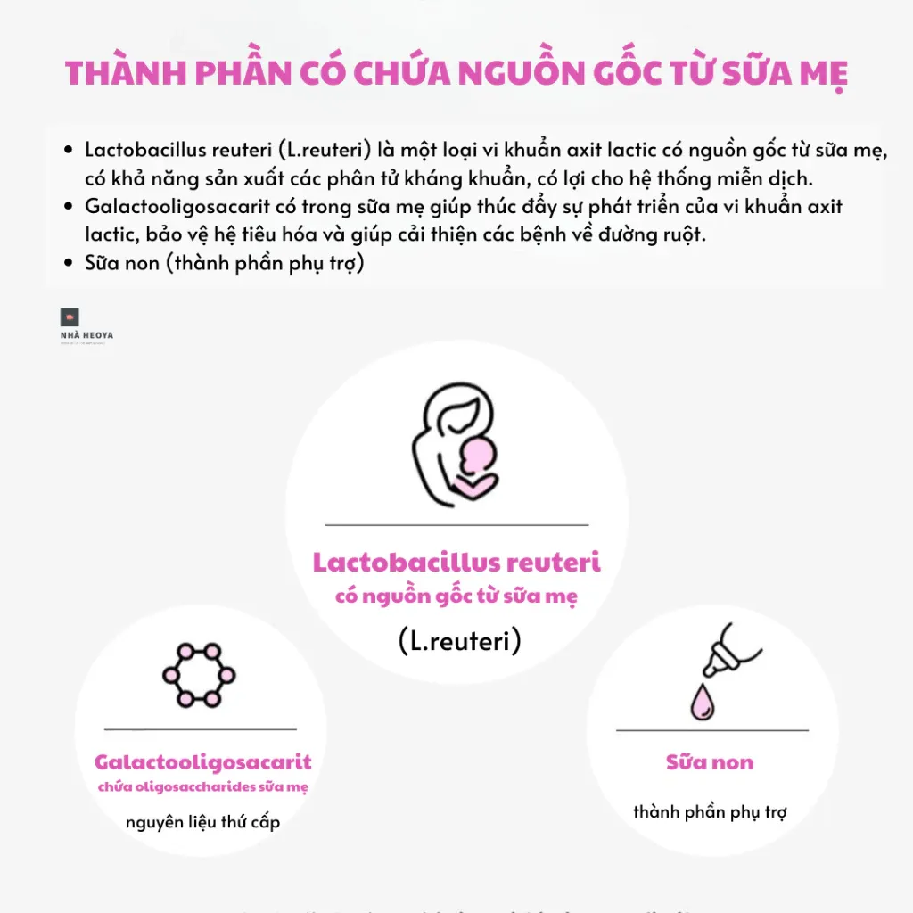 Ảnh Men vi sinh LACTO-FIT Moms Dành Cho Phụ Nữ Mang Thai Và Cho Con Bú (2g X 60 gói) 4