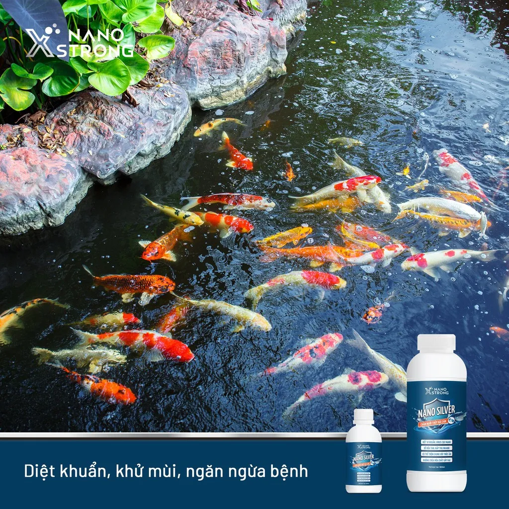 Ảnh Nano bạc (nano silver) Nano Xstrong - xử lý nấm cho cá cảnh, làm trong nước bể cá, ao nuôi, khử mùi hôi tanh 1000ml 2