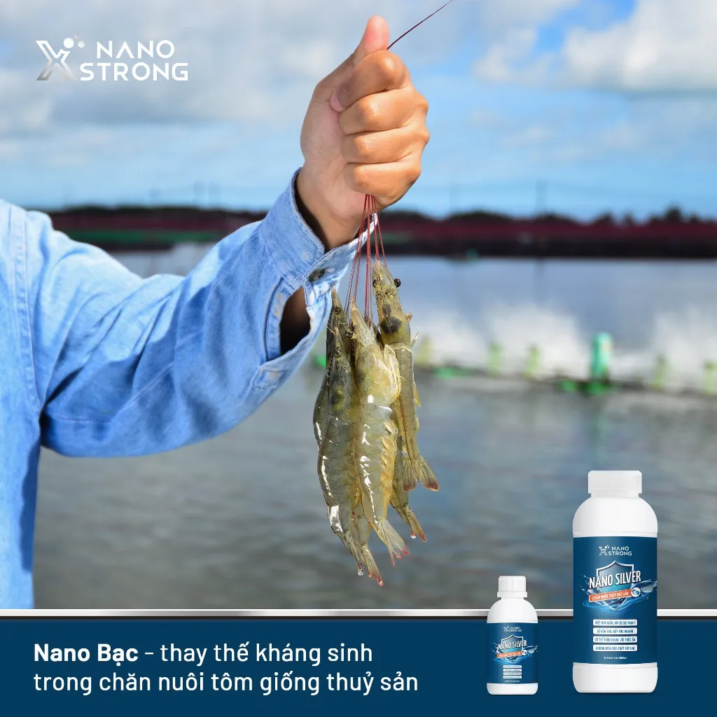 Ảnh Nano bạc (nano silver) Nano Xstrong - xử lý nấm cho cá cảnh, làm trong nước bể cá, ao nuôi, khử mùi hôi tanh 1000ml 3