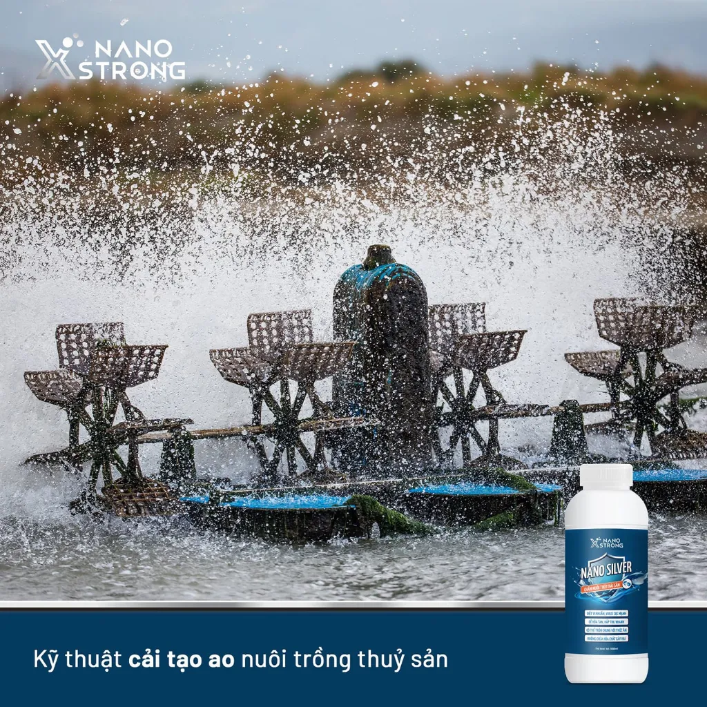 Ảnh Nano bạc (nano silver) Nano Xstrong - xử lý nấm cho cá cảnh, làm trong nước bể cá, ao nuôi, khử mùi hôi tanh 1000ml 4