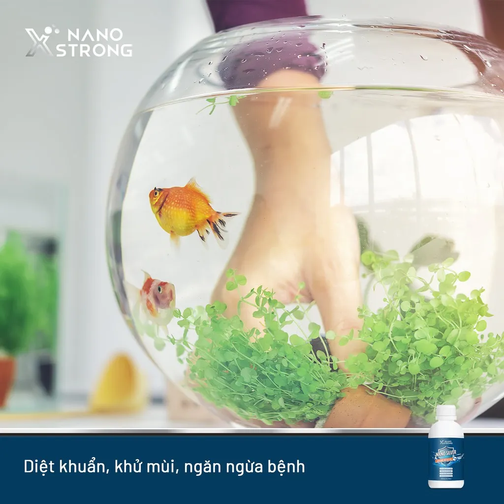 Ảnh Nano bạc (nano silver) Nano Xstrong - xử lý nấm cho cá cảnh, làm trong nước bể cá, ao nuôi, khử mùi hôi tanh 100ml 2