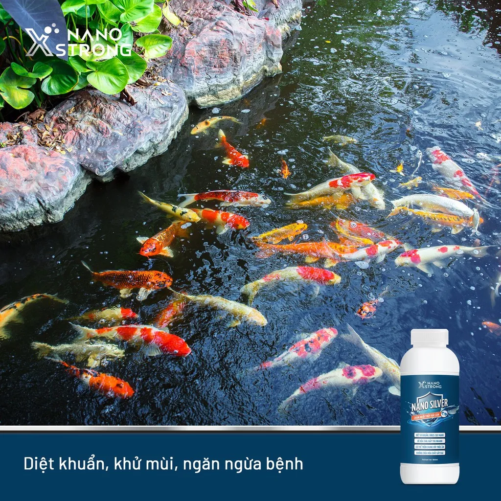 Ảnh Nano bạc (nano silver) Nano Xstrong - xử lý nấm cho cá cảnh, làm trong nước bể cá, ao nuôi, khử mùi hôi tanh 100ml 4