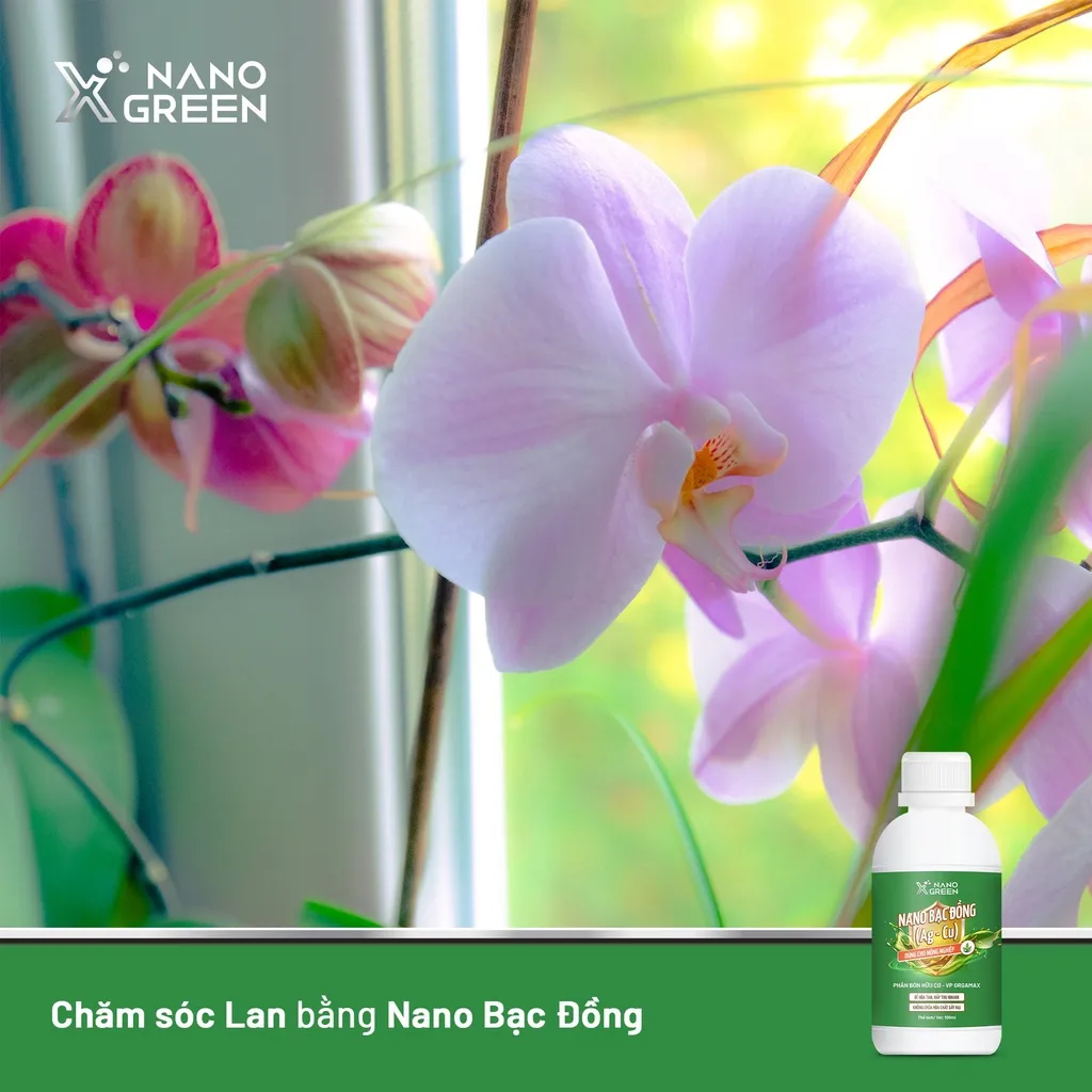 Ảnh Nano bạc đồng Nano Xgreen cung cấp dưỡng chất, tăng đề khoáng, hỗ trợ cho cây có triệu chứng vàng lá, thối rễ 100ml 2