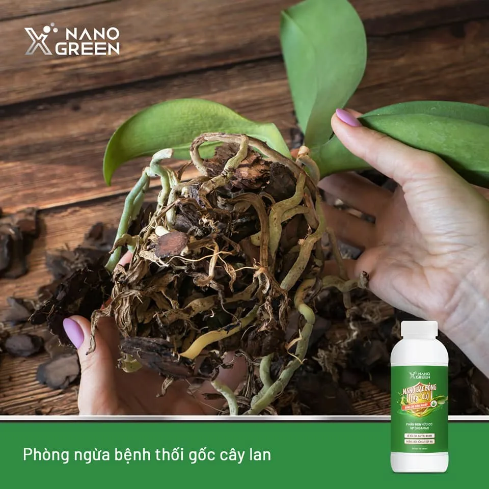 Ảnh Nano bạc đồng Nano Xgreen cung cấp dưỡng chất, tăng đề khoáng, hỗ trợ cho cây có triệu chứng vàng lá, thối rễ 1000ml 2