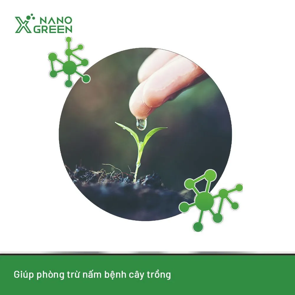 Ảnh Nano bạc đồng Nano Xgreen cung cấp dưỡng chất, tăng đề khoáng, hỗ trợ cho cây có triệu chứng vàng lá, thối rễ 1000ml 3