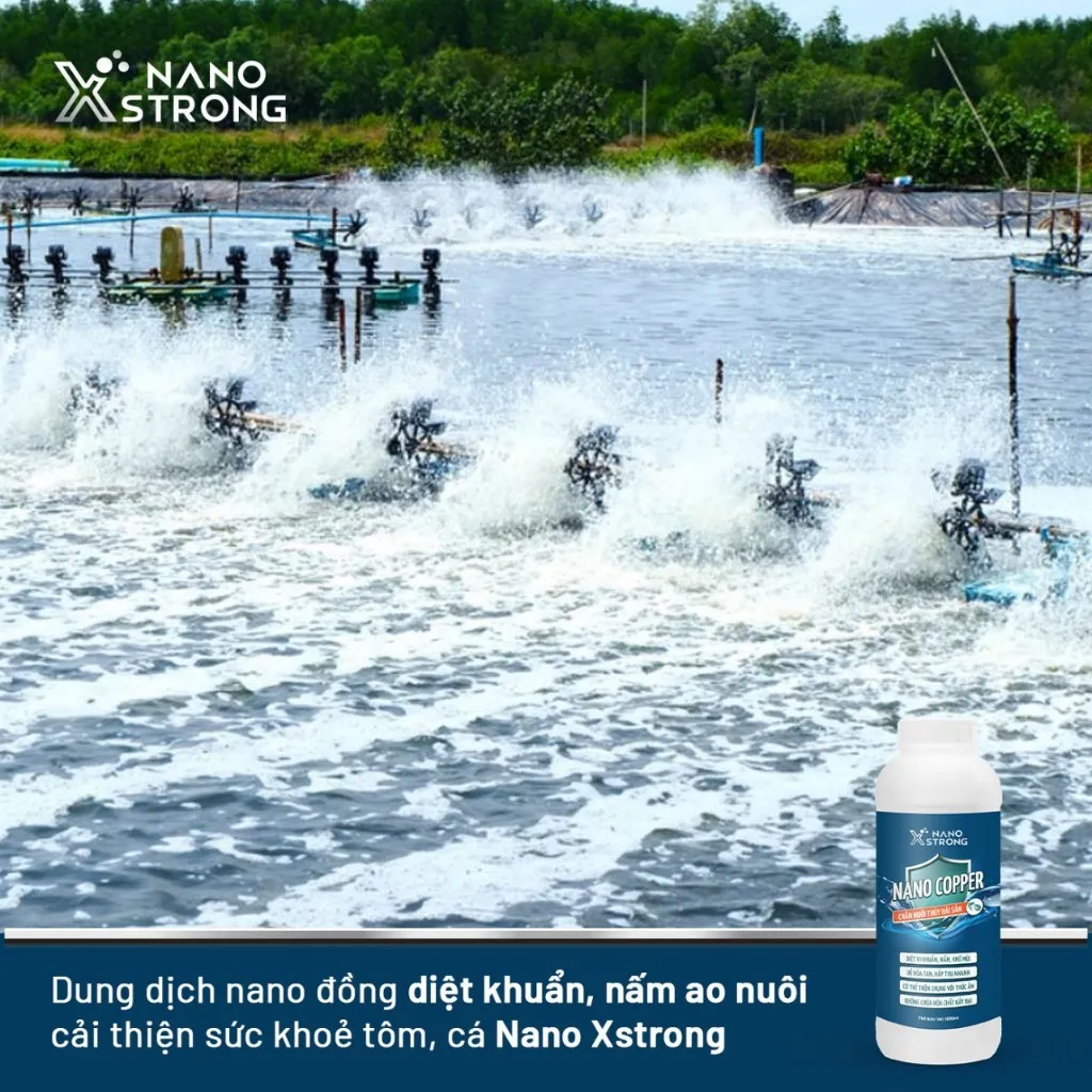 Ảnh Nano đồng (nano copper) Nano Xstrong xử lý tảo, khử mùi nước, diệt khuẩn, nấm đồng tiền, giúp tôm lột xác 1000ML 2