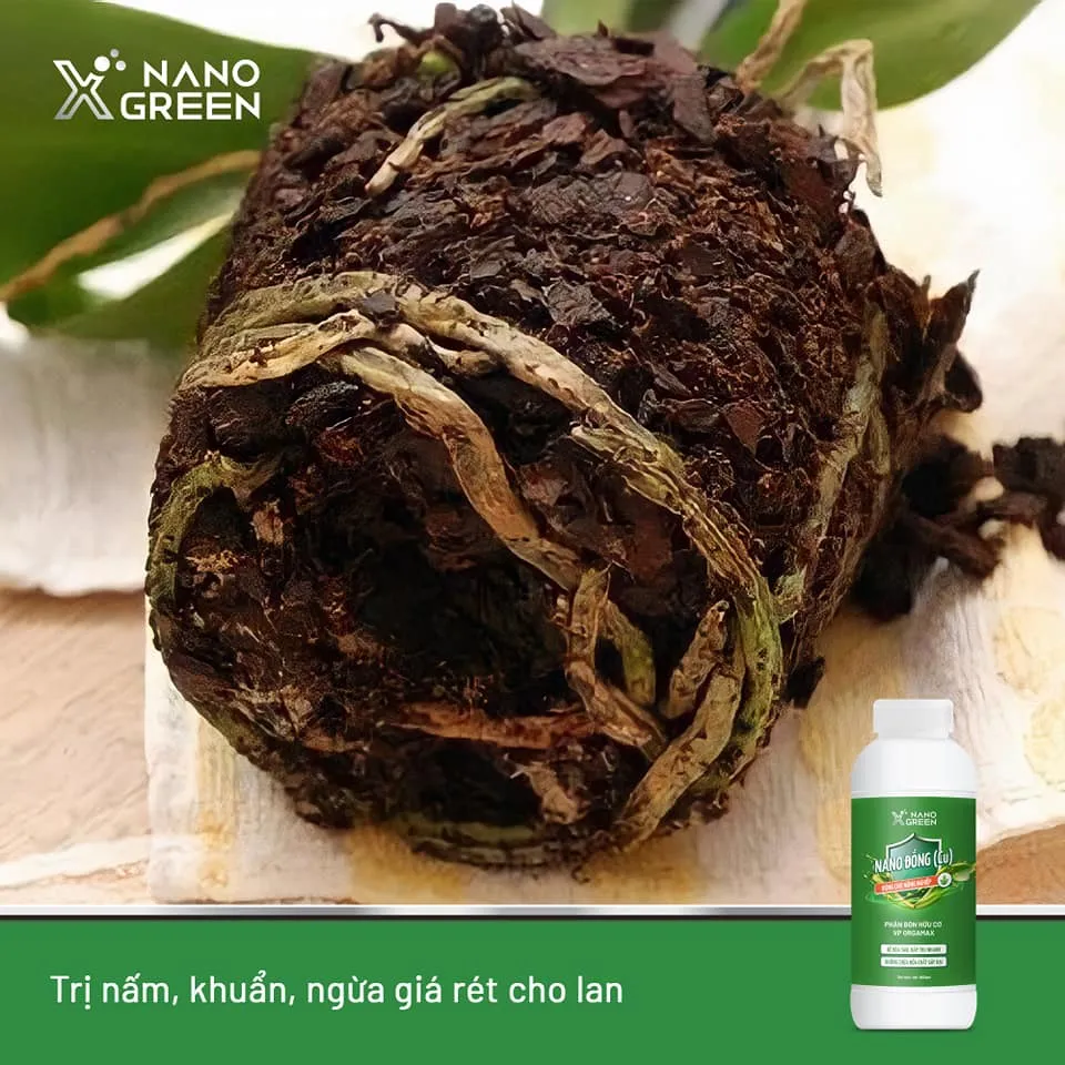 Ảnh Nano đồng Nano Xgreen cung cấp vi lượng, bổ sung dưỡng chất phục hồi cây, chống giá rét 100ml 3