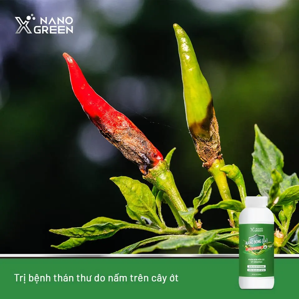 Ảnh Nano đồng Nano Xgreen cung cấp vi lượng, bổ sung dưỡng chất phục hồi cây, chống giá rét 500ml 3