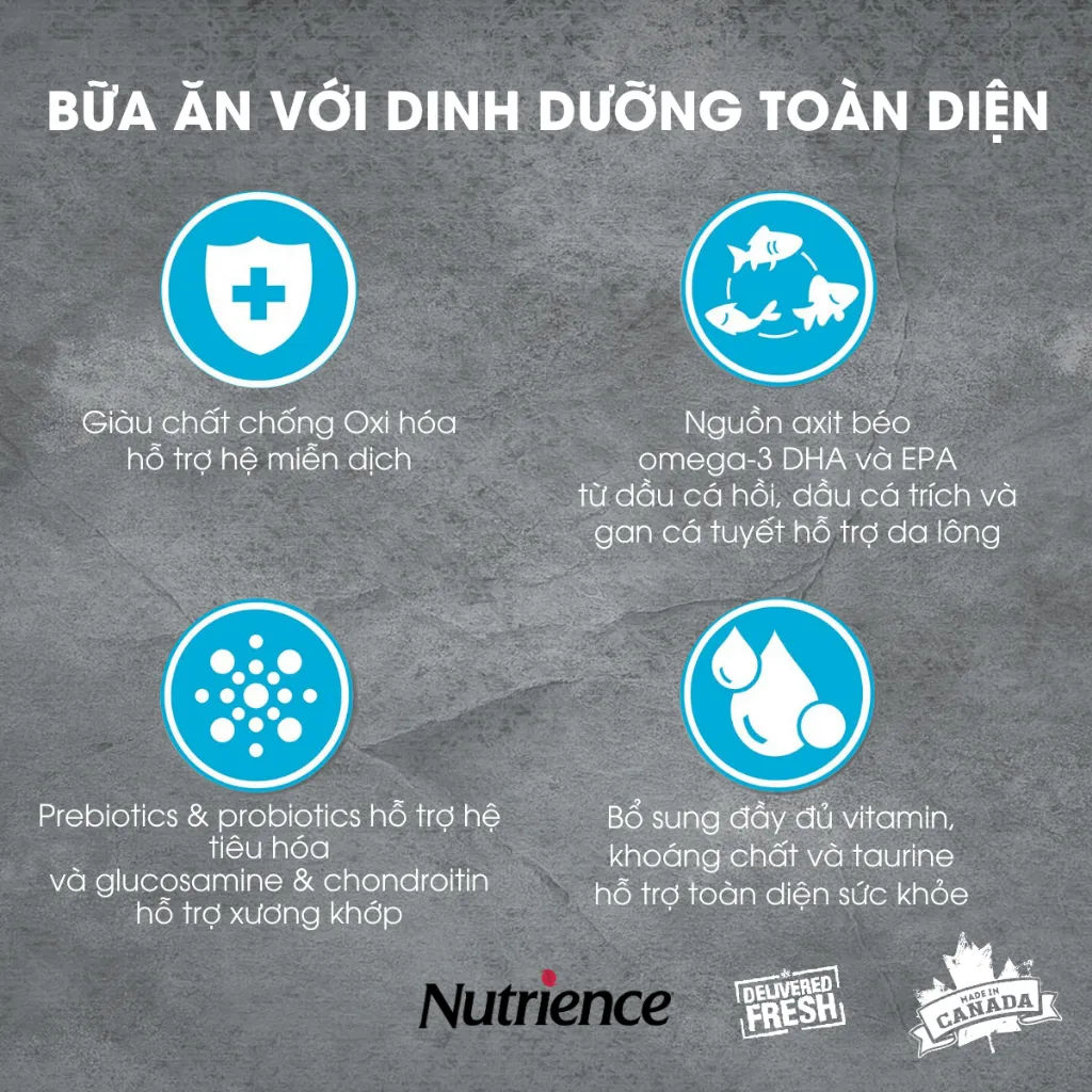 Ảnh Nutrience Infusion Cá Biển cho Mèo trưởng thành - Cá biển, dầu cá hồi và rau củ quả tự nhiên 2.27kg 3